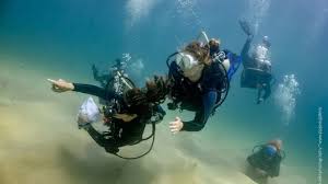 Image result for Divemaster Scuba