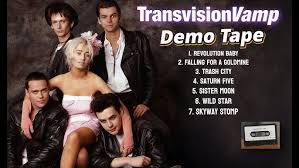 Image result for transvision vamp