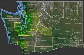 Attēlu rezultāti vaicājumam “Plicatura nivea”