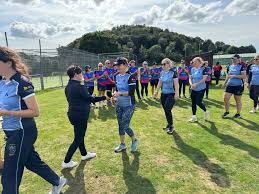 Image result for Bronwydd Cricket Club