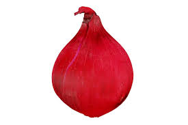 Attēlu rezultāti vaicājumam “Rosa majalis fruit”