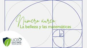 Image result for numero aureo