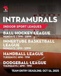 Image result for York University Dodgeball Club