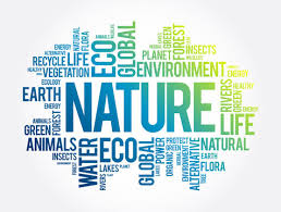 Image result for wordcloud