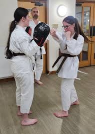 Image result for Taunton Karate academy