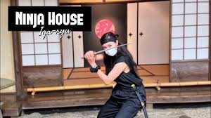 Image result for Hertfordshire Iga Ryu Ninjutsu