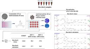 Attēlu rezultāti vaicājumam “Reticularia sp.”