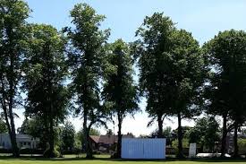 Image result for Harbourne Cc