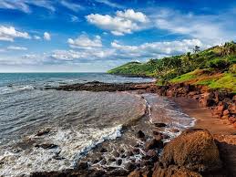 Image result for goa beaches