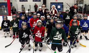 Image result for Havering Skater Hockey Club