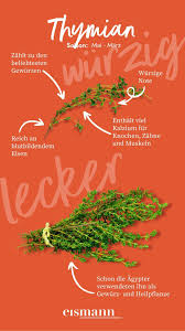 Image result for Thymian