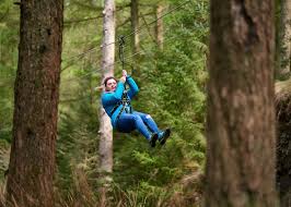Image result for Go Ape! Grizedale