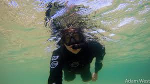 Image result for Stalybridge Snorkel Club