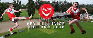 Image result for Redhill Girls Football Club