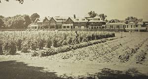 Image result for Ardmore Cricket & Football Club