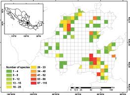 Attēlu rezultāti vaicājumam “Campylophyllum sommerfeltii”