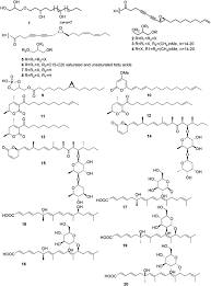 Attēlu rezultāti vaicājumam “Physarum xanthinum spores”