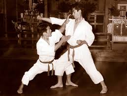 Image result for Nottingham Sankukai Karate