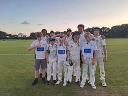 Image result for Budleigh Salterton Cricket Club