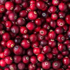 Attēlu rezultāti vaicājumam “Oxycoccus fruit”