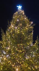 Image result for Lyme Regis Majorettes