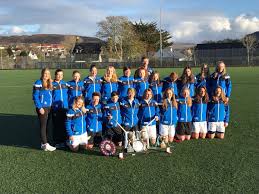 Image result for Skye Camanachd
