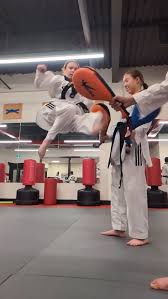 Image result for New Milton Taekwondo Club