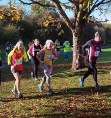 Image result for Biggleswade Ac