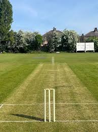 Image result for Thornbury Cricket Club