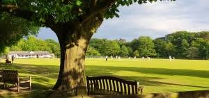 Image result for Mobberley Cricket Club