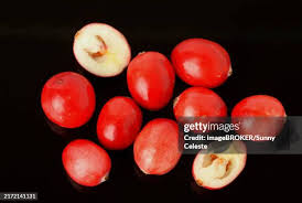 Attēlu rezultāti vaicājumam “Oxycoccus fruit”