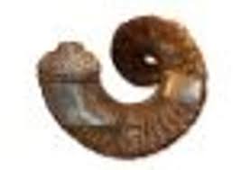 Image result for World of Shinty