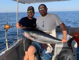 Image result for Thunnus maccoyii