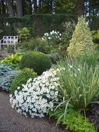 Attēlu rezultāti vaicājumam “Euonymus flower”
