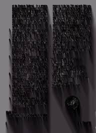 Attēlu rezultāti vaicājumam “Badhamiopsis scripta sessile”