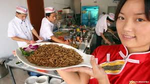 Fact: Mealworms <b>environmentally friendly</b> - 0,,16473104_303,00
