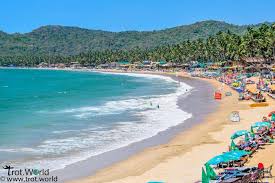 Image result for goa beaches