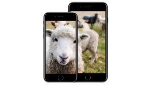 Image result for sheeple