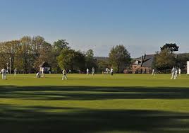 Image result for Wrecclesham Cricket Club