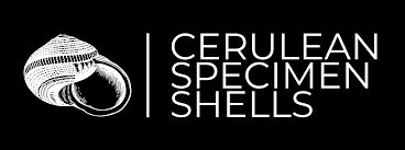 Image result for Cinctura hunteria