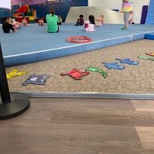 Image result for Fish trampoline and gymnastics club