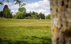Image result for Chiddingfold Golf Club