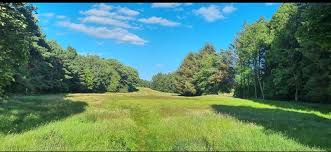 Image result for Caird Park Golf Club