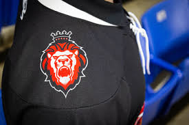 Image result for Reading Knights