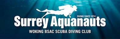 Image result for Surrey Aquanauts B S A C 0689