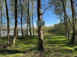 Image result for Woking & District Angling Association