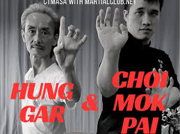 Image result for Hung Kuen School Of Shaolin Kung Fu