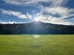 Image result for Falkland Cricket Club