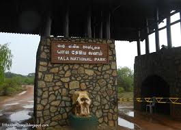 Image result for Яла заповедник