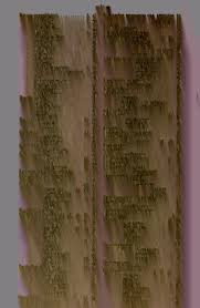 Attēlu rezultāti vaicājumam “Plagiothecium latebricola macro”